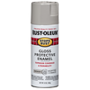Rust-Oleum® Protective Enamel Spray Paint Gloss Pewter Gray