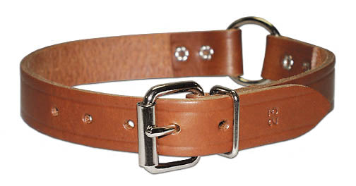 Leather Brothers  Leather Collar with Ring in Center - 3/4 x 16 in.