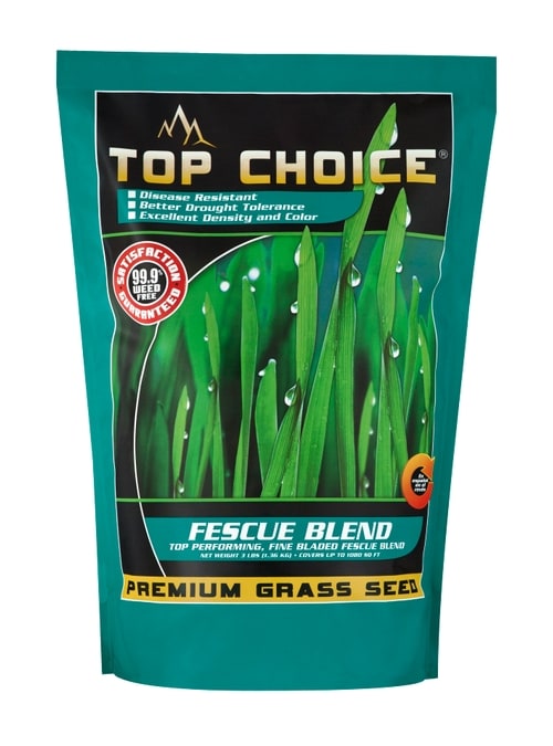 Mountain View Seeds 3 lbs  Fescue Blend Grass Seed