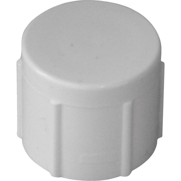 Charlotte Pipe 3 In. FIP Schedule 40 Threaded PVC Cap